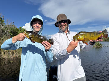 Southwest Ranches Report Photo 2