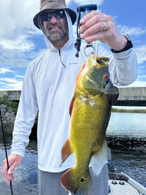 Southwest Ranches Report Photo 3