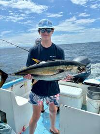 Rooster and Yelowfine Tuna