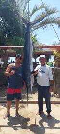 San Jose del Cabo Report Photo 1