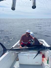 San Jose del Cabo Report Photo 2