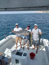 San Jose del Cabo Report Photo 2