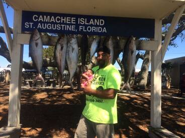 Amberjack and Cobia Live bait trolling