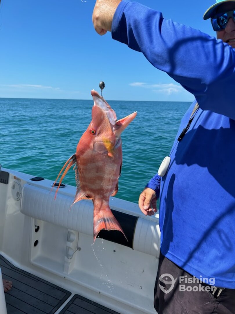 Belleair Bluffs Report Photo 0