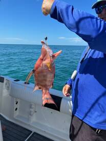 Near shore fishing