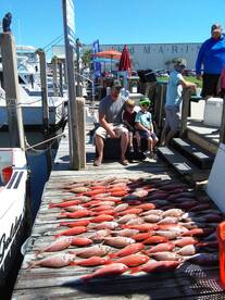 Panama City Beach Report Photo 1