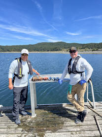 Sooke Report Photo 2