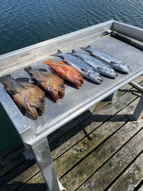 Sooke Report Photo 1