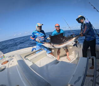 Sailfish, Amberjack, Mahi Mahi and Tuna 