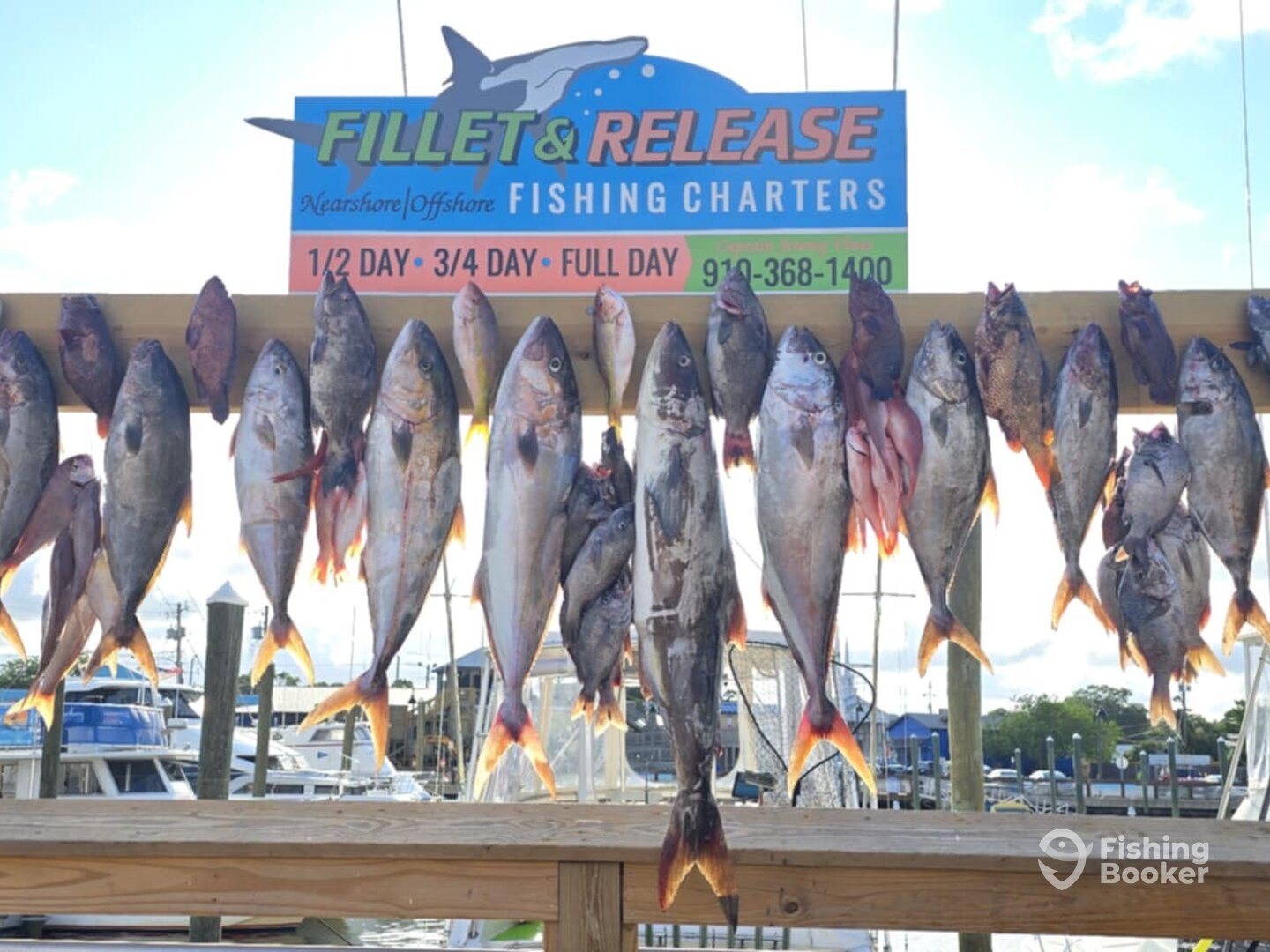 Carolina Beach Report Photo 0