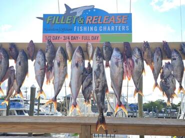 Bottom fishing is on Fire 