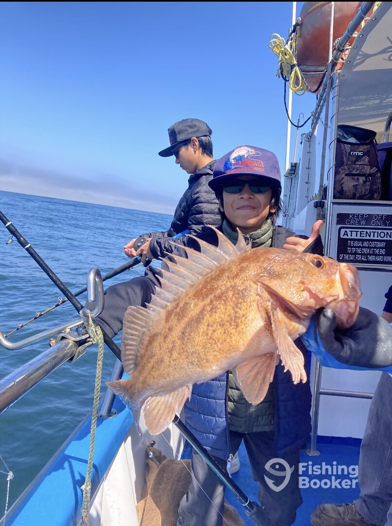 Half Moon Bay Report Photo 0