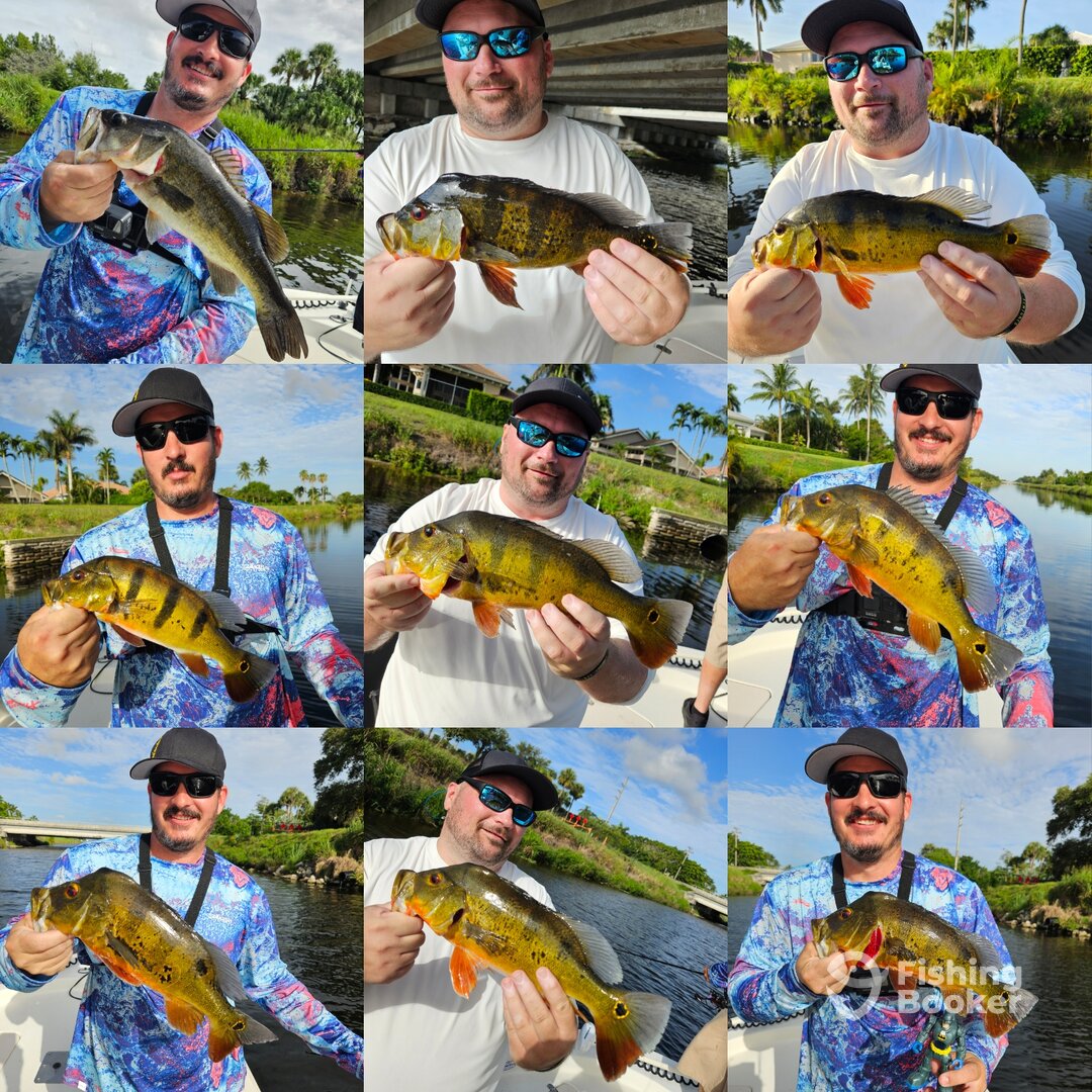 Delray Beach Report Photo 0