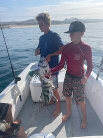 San Jose del Cabo Report Photo 1