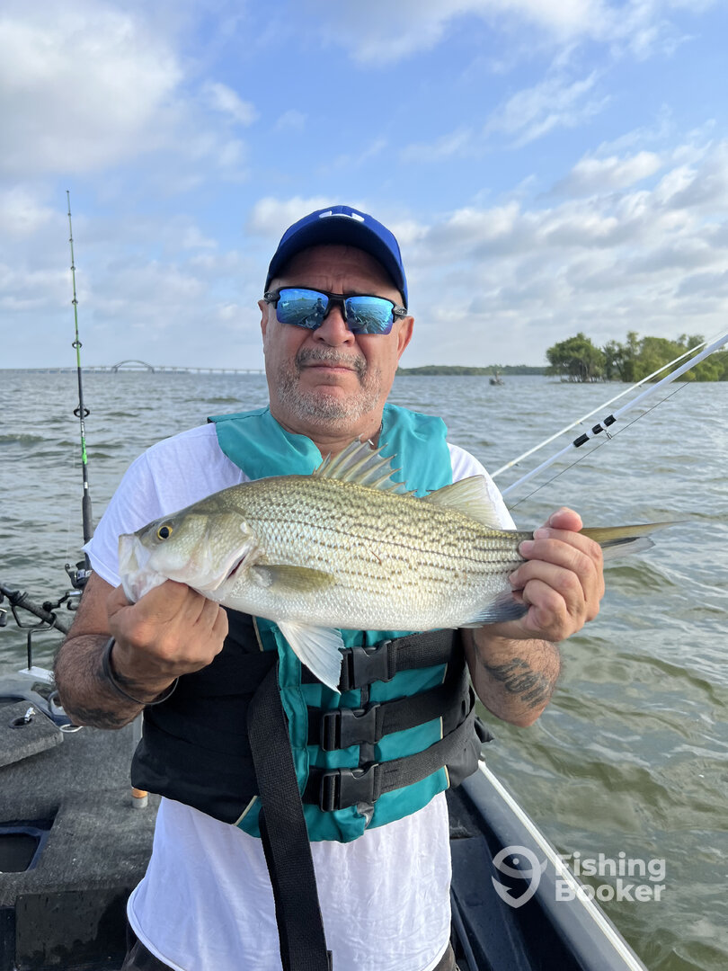 Lake Dallas Report Photo 0