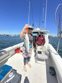 Striped  Bass Fishing At Its Best