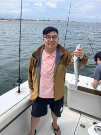 New York City Report Photo 2