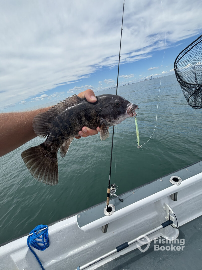 Brigantine Report Photo 0