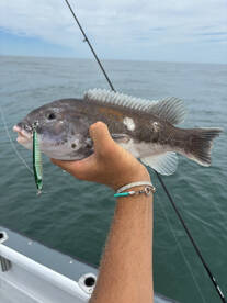 Brigantine Report Photo 2