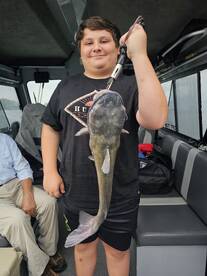 !! Insane walleye action !!