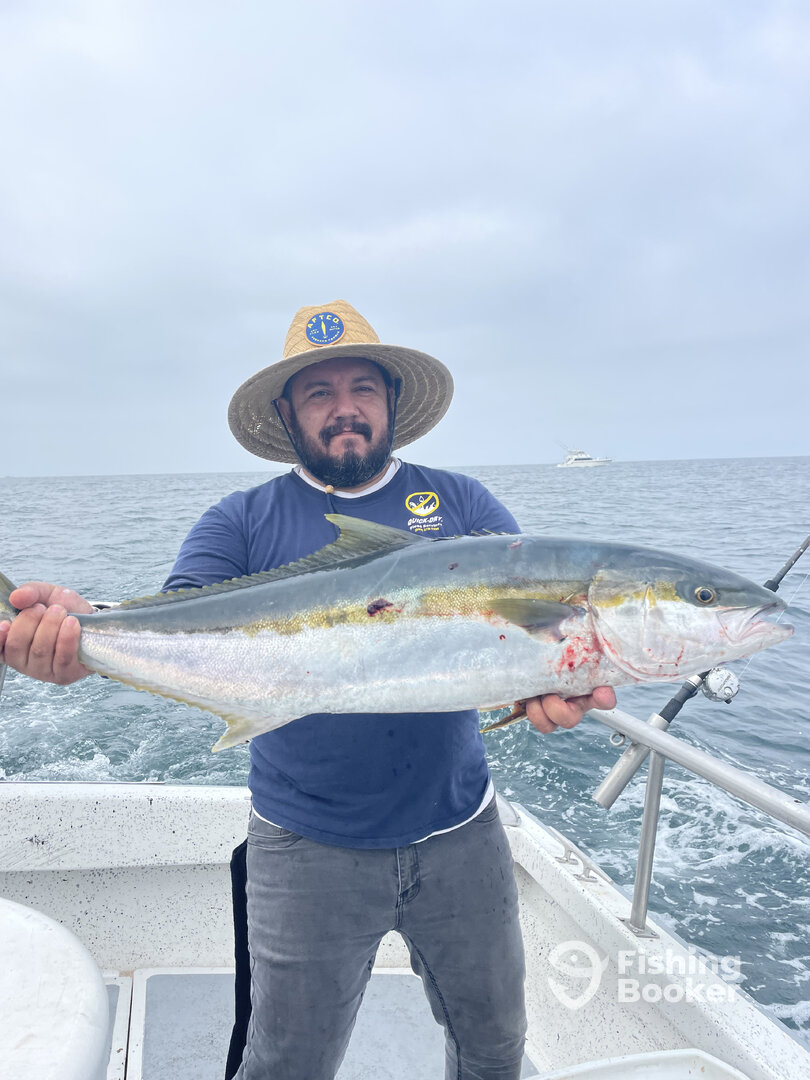 Ensenada Report Photo 0