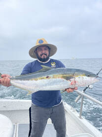 Yellows in the fres one !!! 