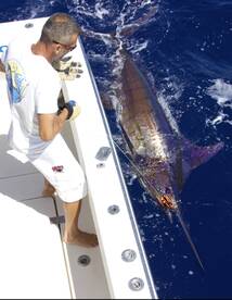 Pasito Blanco Report Photo 1