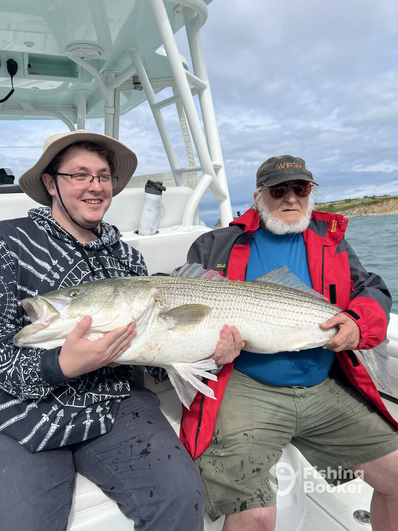 South Kingstown Report Photo 0