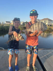 Have a safe independence day!