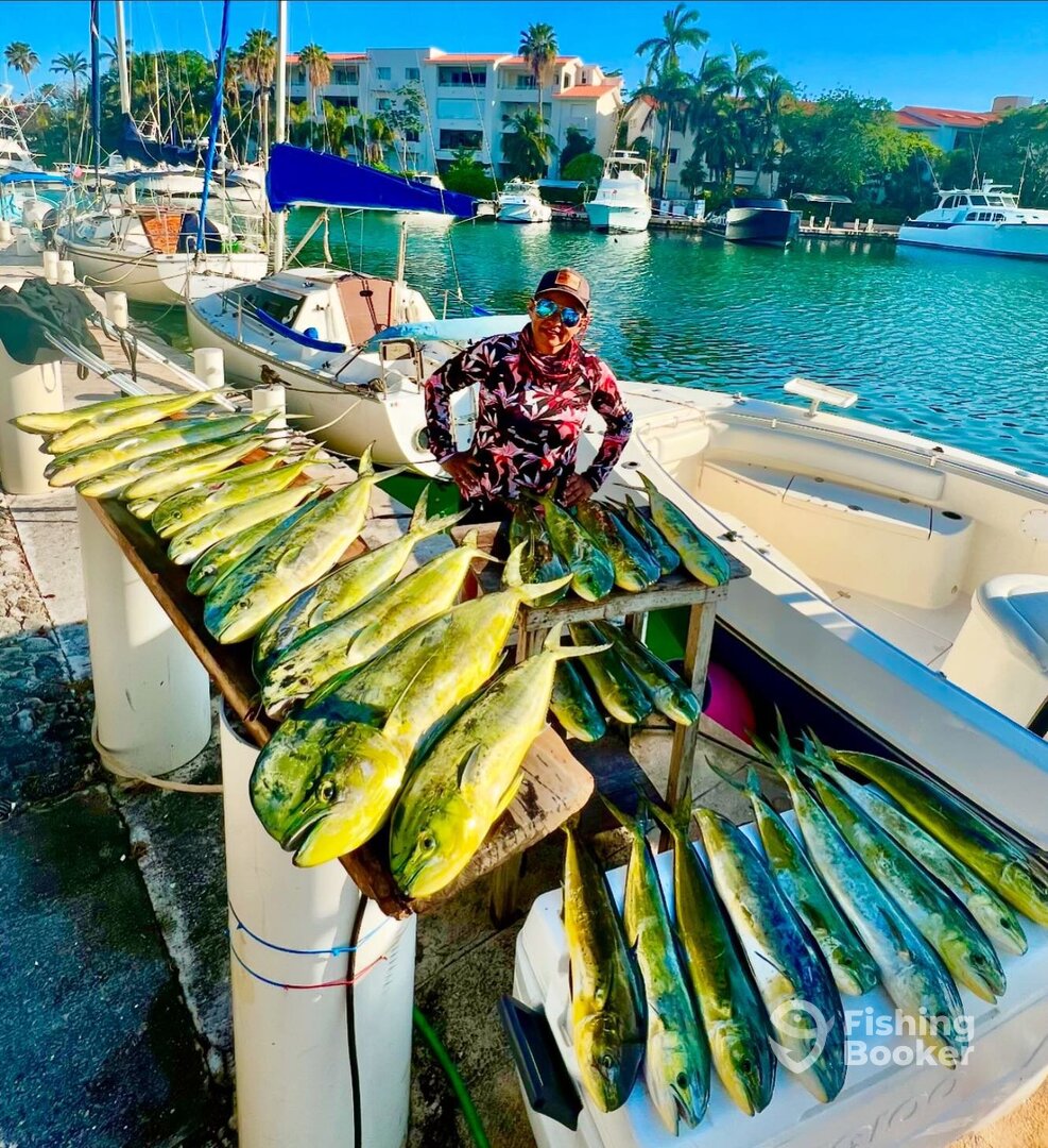 Puerto Aventuras Report Photo 0