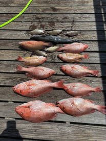 Pensacola Report Photo 2