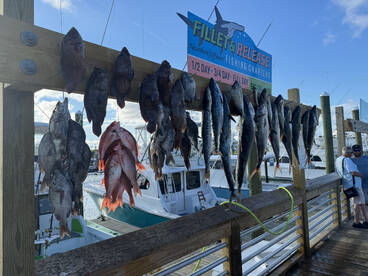 Bottom fishing was on fire trolling was 