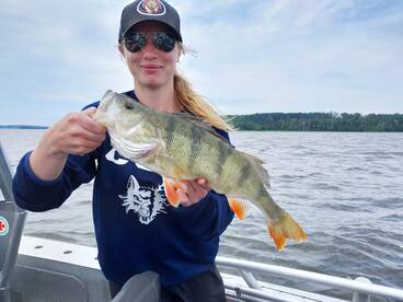 Perch bonanza, with boat record