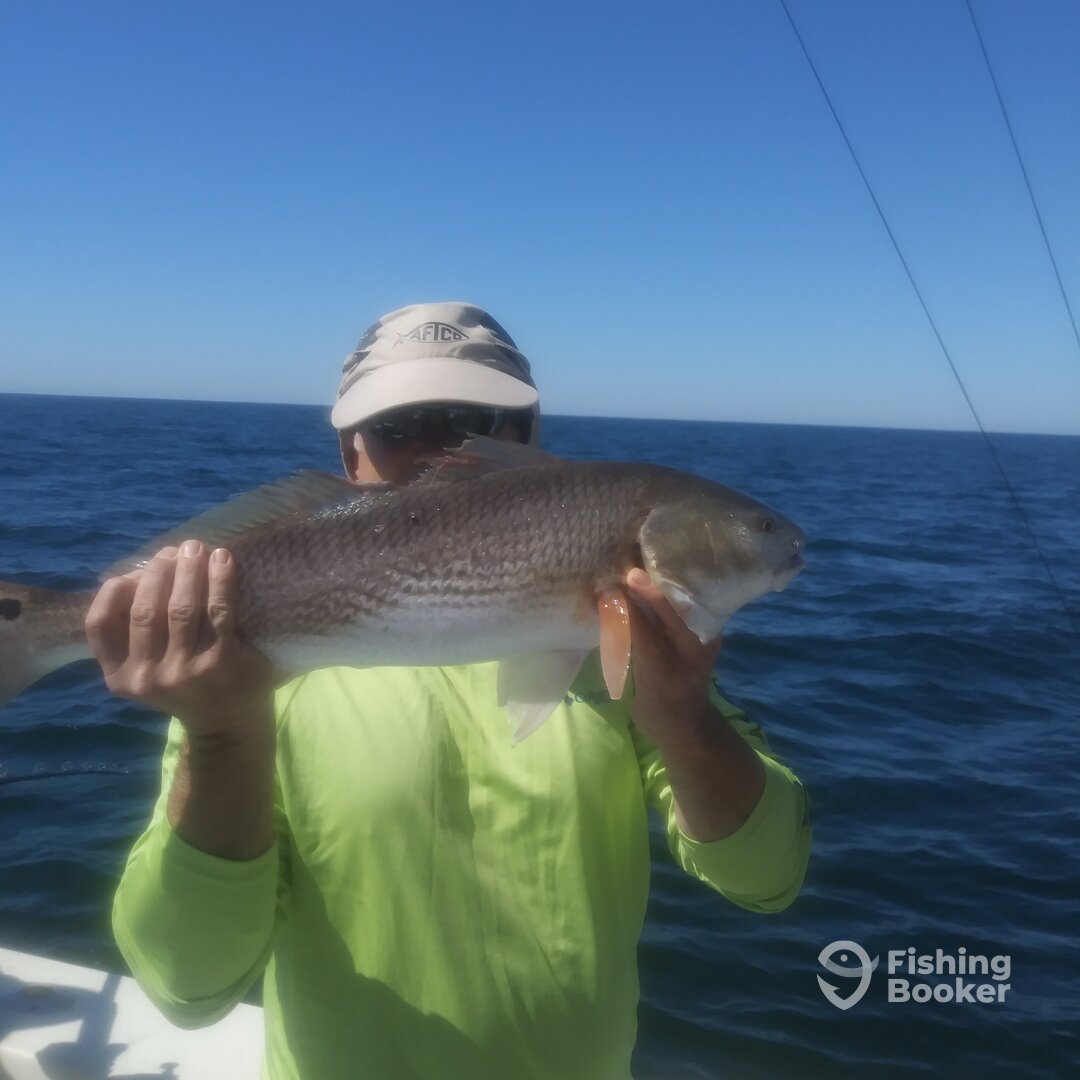 Folly Beach Report Photo 0