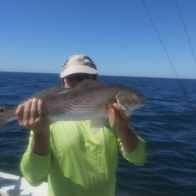 Reef reds
