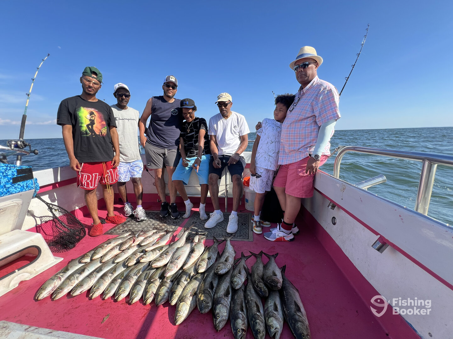 Solomons Report Photo 0