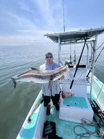 Solomons Report Photo 1