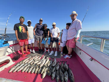 Bluefish and cobia  also great bottom fi