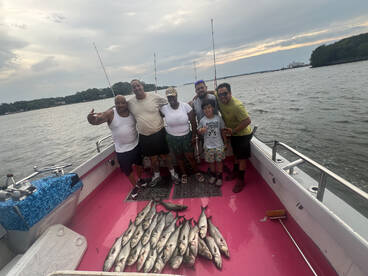 Solomons Report Photo 2
