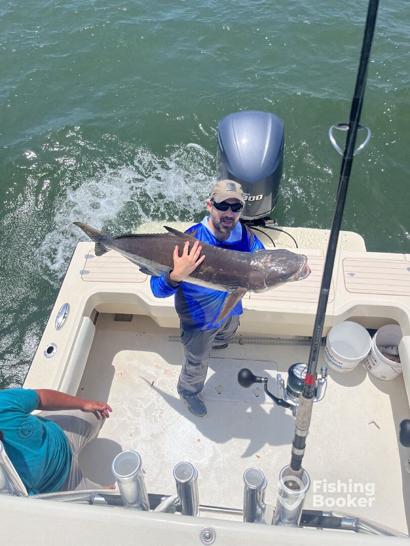 Gloucester Point Report Photo 0