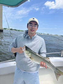 Chesapeake Beach Report Photo 1