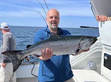 Chinook Salmon