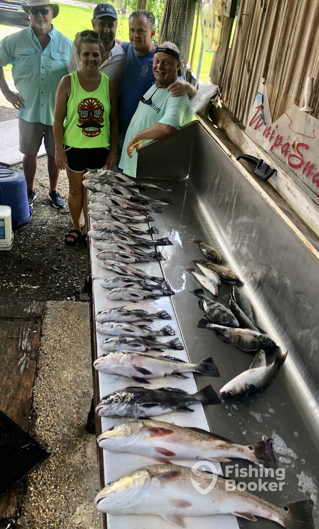 D'Iberville Report Photo 0