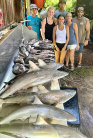 D'Iberville Report Photo 2