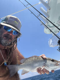 Mangrove Spawn is On