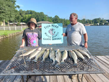 Willis Report Photo 1