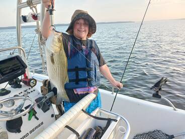 Willis Report Photo 2