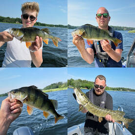 Archipelago fishing ! 