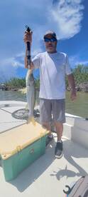 Bonita Springs Report Photo 2