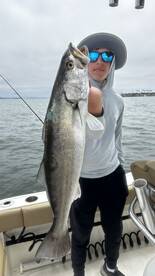 Corvina are biting